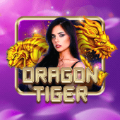 Dragon Tiger okgames