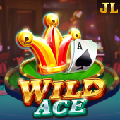 Wild Ace okgames slot